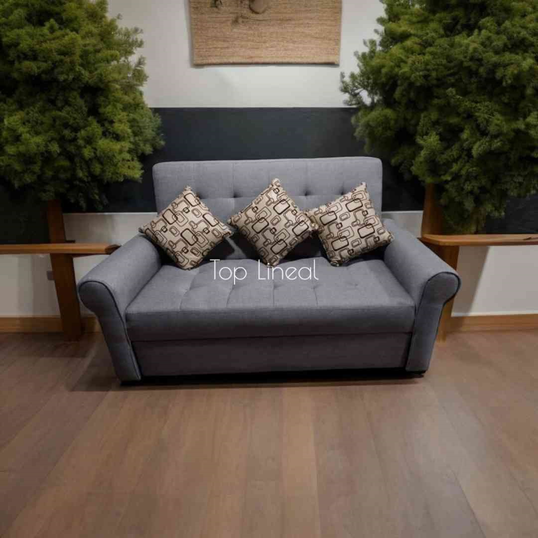 SOFA CAMA 2.0 PLAZA CHESTER GRIS ROOM